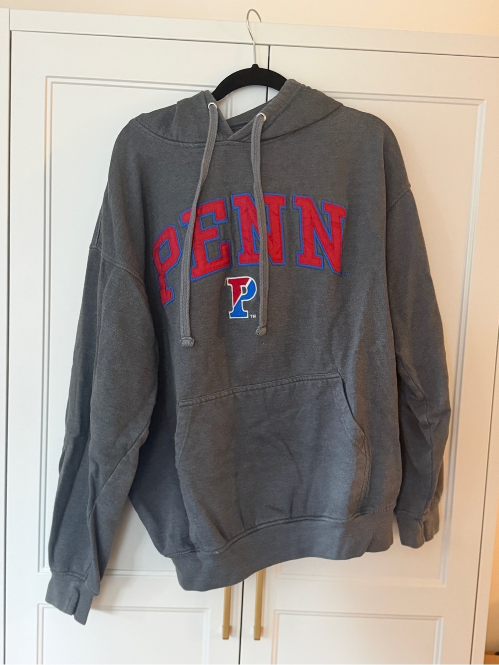 Penn Gray Logo Hoodie - Collegiate Pullover Sweatshirt